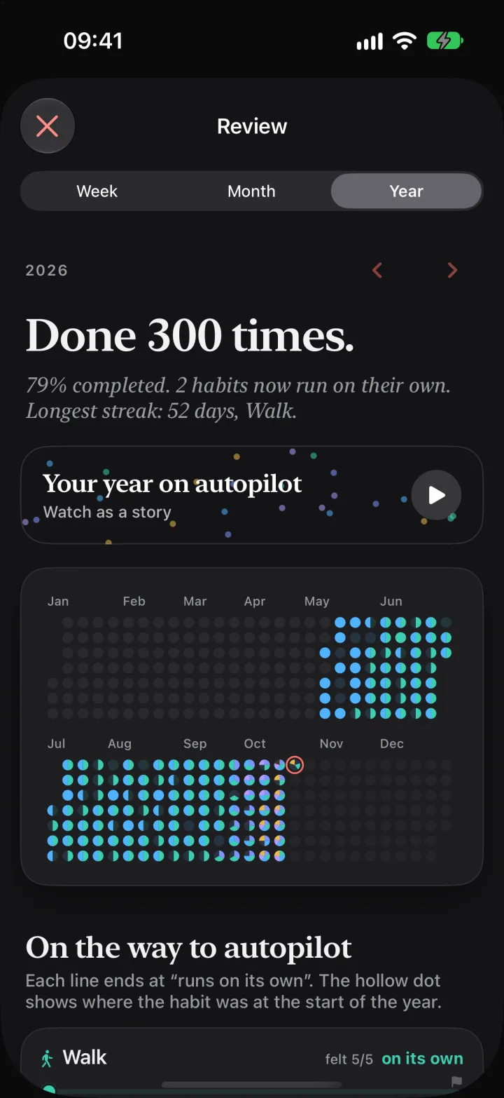 The year review with the grid of all habits